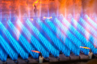 Burneston gas fired boilers